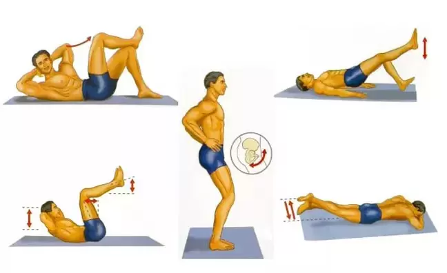 A set of physical exercises to increase potency in men