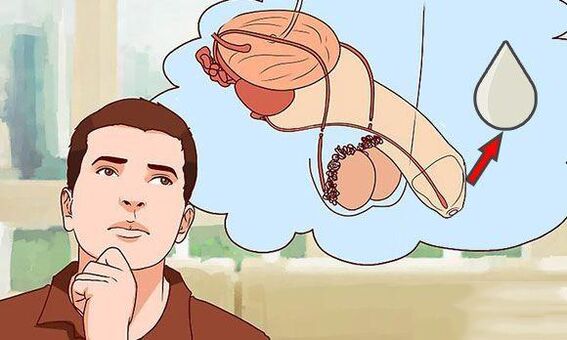 Discharge in men when he gets excited
