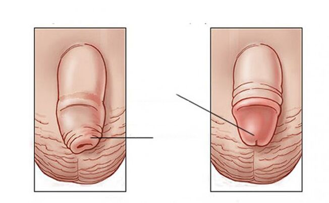 Which lubricant fulfills the task